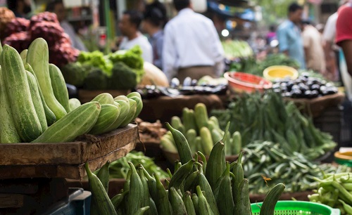 為什么多功能食品安全檢測如此受歡迎